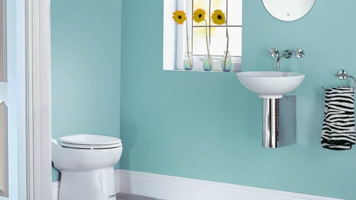Pros And Cons Of Upflush Toilet