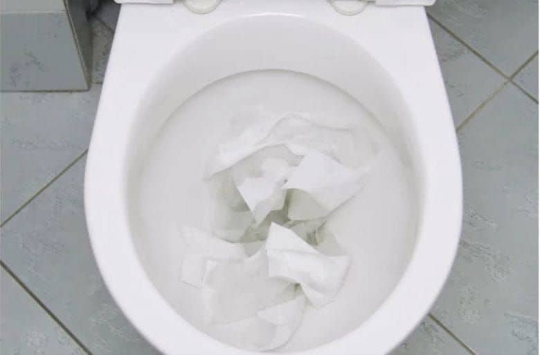 clogged toilet