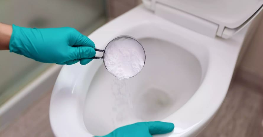 Cleaning the toilet bowl with powder
