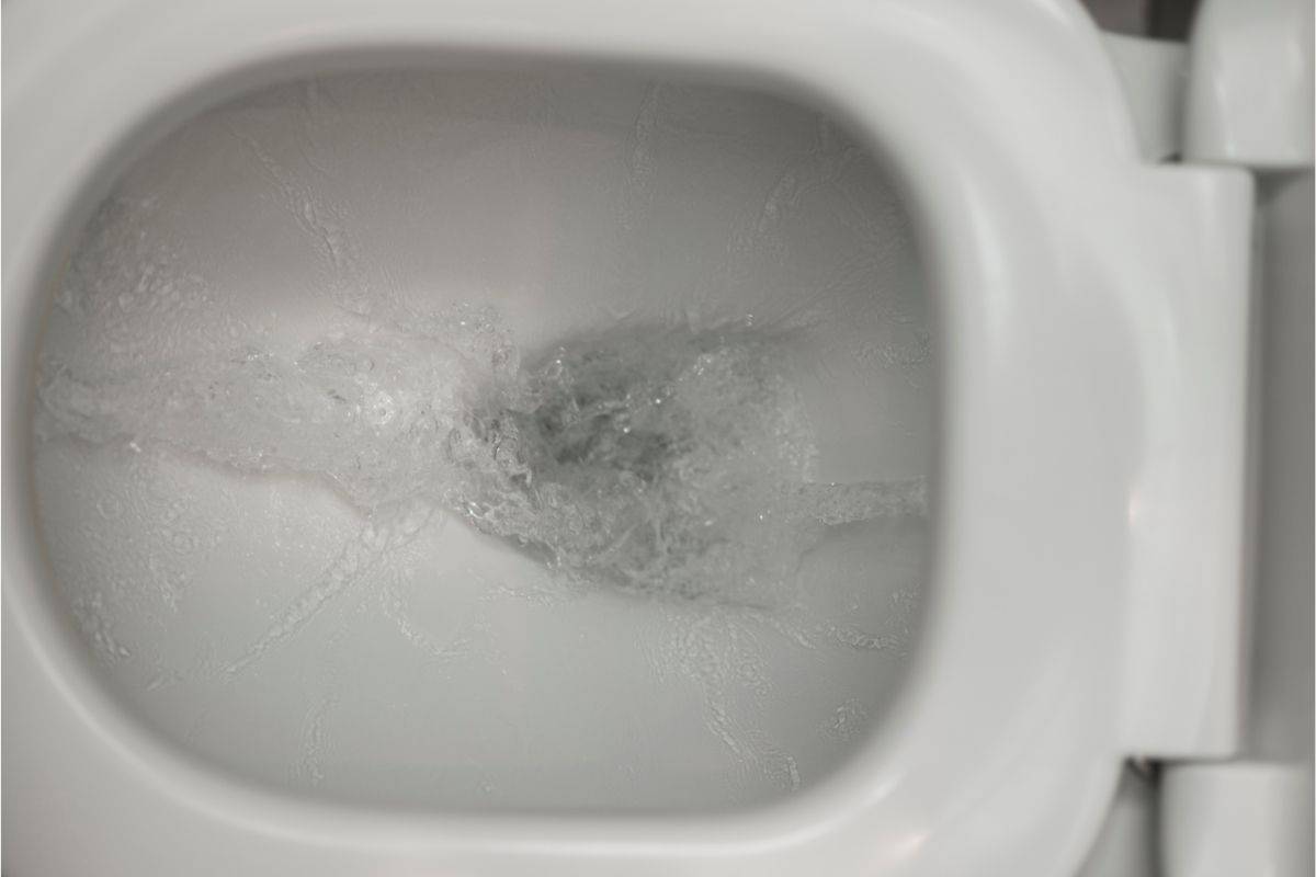 another toilet flushing