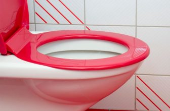 red toilet seat