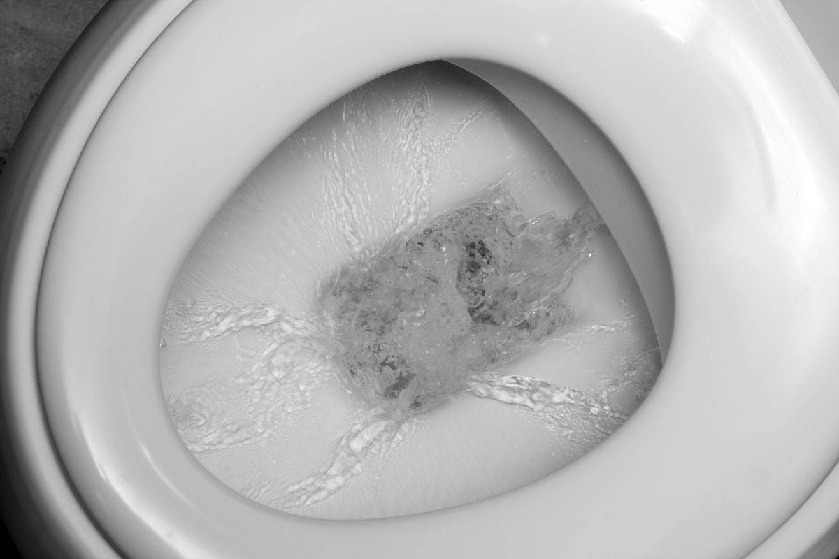 toilet bowl flushing