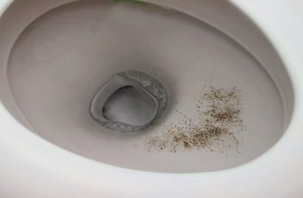Black Mold in Toilet