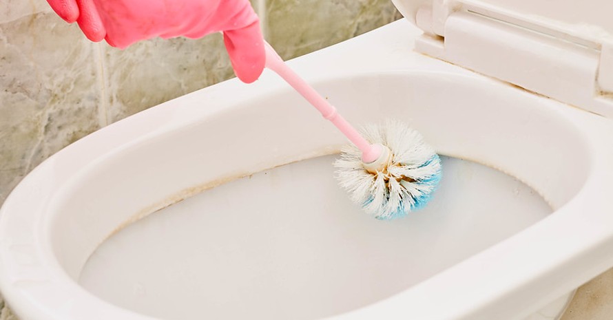 cleaning the toilet with a brush