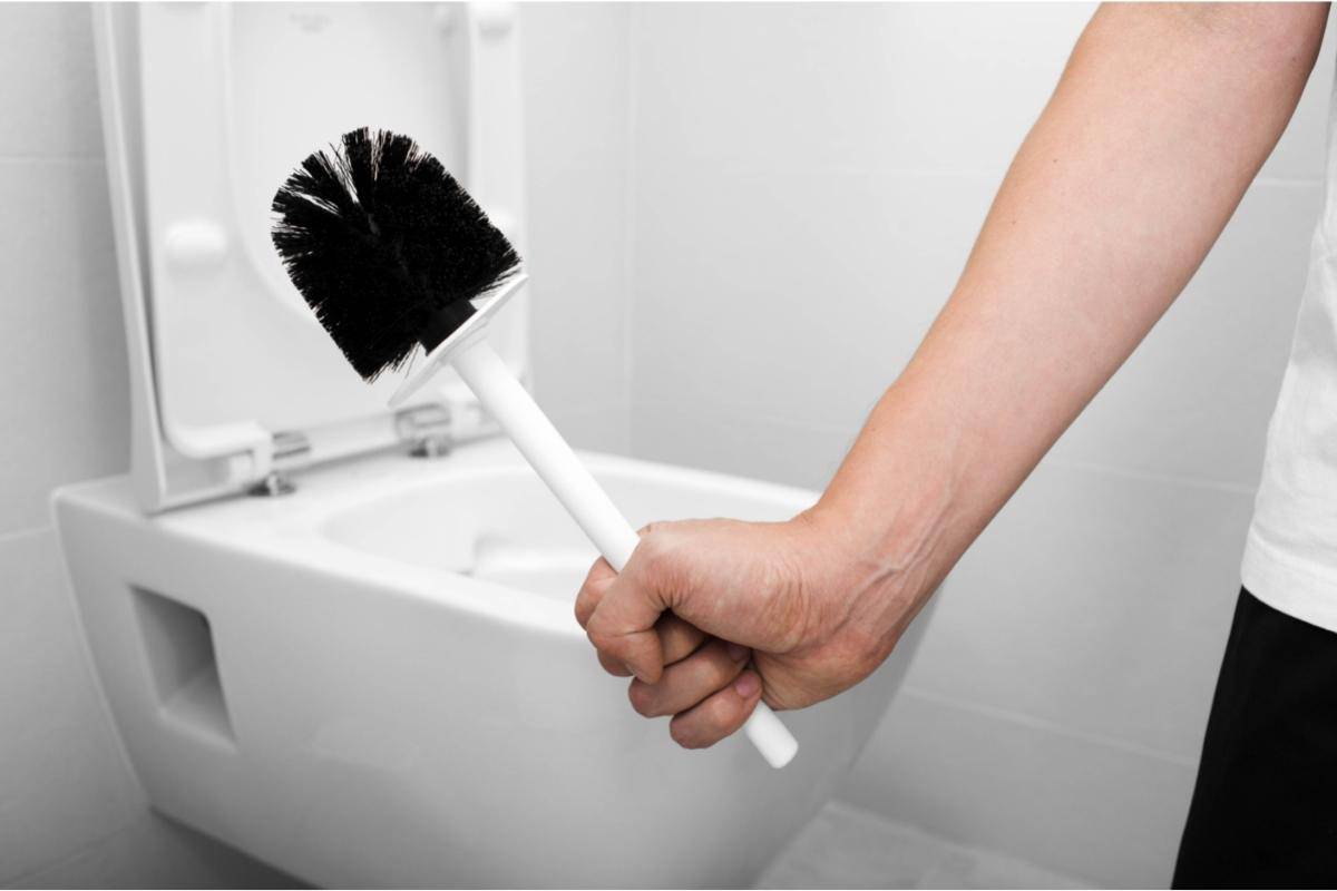 brush for cleaning a toilet