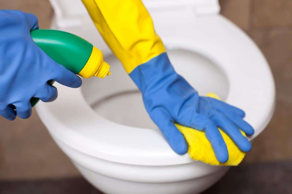 cleaning the toilet bowl