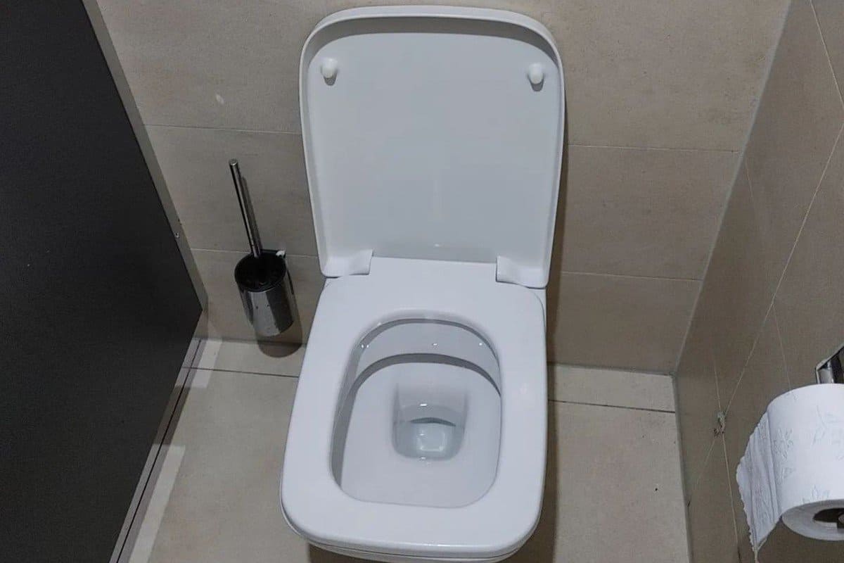 toilet seat close view