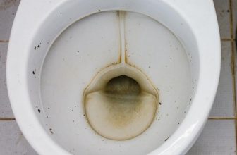 toilet bowl with Black Mold