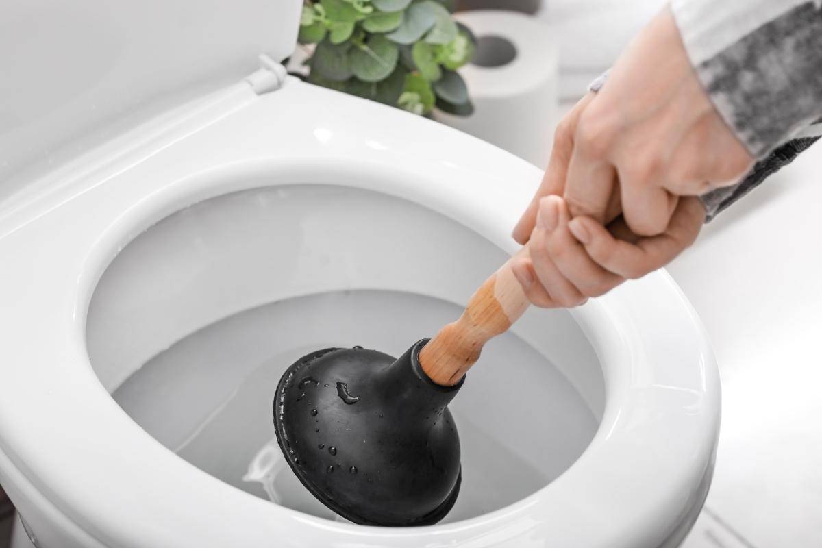 A toilet plunger