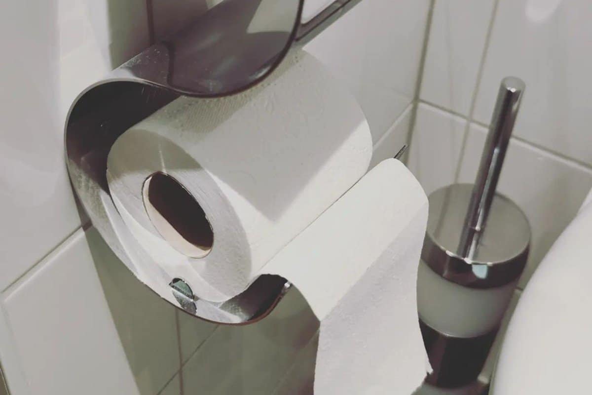 toilet paper wall holder