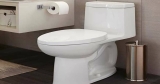 7 Best One-Piece Toilets to Buy in 2024 (Detailed Reviews)