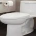 Best No Clog Toilet Contest: Top 6 Models to Choose From