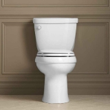 Best Chair Height Toilets for Tall and Seniors