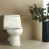 Best Dual Flush Toilets to Get in 2022
