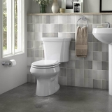 Best Dual Flush Toilets to Get in 2024