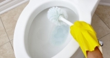 How to Keep Toilet Bowl Clean Without Scrubbing?
