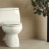 Kohler Wellworth Toilet Review 2022: Is It Worth the Price?