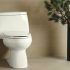 7 Best Flushing Toilets in 2022: Complete Review & Buyer’s Guide (THEY CAN FLUSH ANYTHING)
