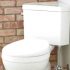 7 Best One-Piece Toilets to Buy in 2022 (Detailed Reviews)