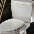 Best RV Toilets: Tested, Reviewed, and Approved