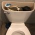 Types of Toilet Flush Systems: The Best Options in 2022