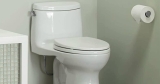 Toto vs American Standard: Which Toilets Are Better?