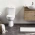 Best Saniflo Toilets: Detailed Reviews & Buying Guide