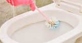 How to Clean Under Toilet Rim? – All the Best Tips for a Spotless Toilet
