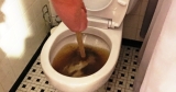 How to Unclog a Toilet with Poop in It? – All Details Covered