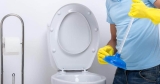 Can Plunging a Toilet Damage the Wax Ring?