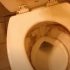 How to Unclog a Toilet with Poop in It: All Details Covered