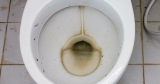 Black Mold in Toilet Bowl: Causes and Solutions