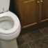 7 Best Flushing Toilets in 2022: Complete Review & Buyer’s Guide (THEY CAN FLUSH ANYTHING)