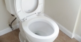 6 Best Commercial Toilets in 2024: Complete Reviews & Buyer’s Guide