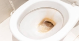 How to Remove Yellow Stains From Toilet? – Efficient Tips & Tricks